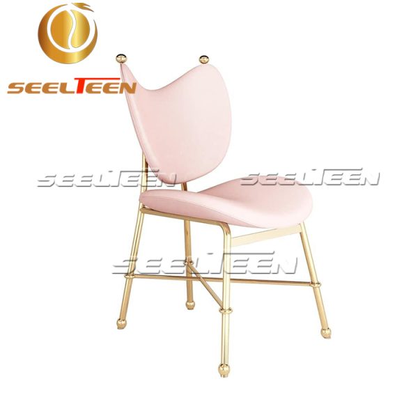 Modern Style Dining Chair