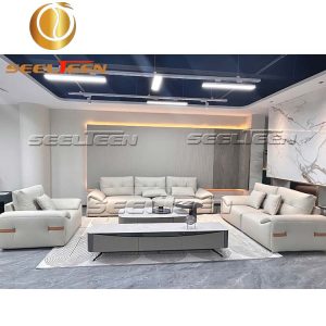 Modern Style Sofa Set