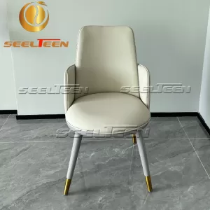 Cushioned Dining Chairs